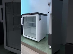 MC-5L42 42L Schnellkühlschrank für kleine Apotheken mit verstellbarem LED-Licht